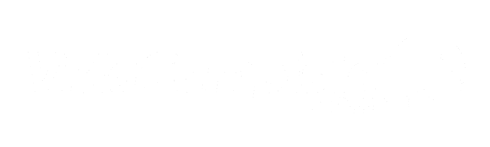 Logo VidaCampista